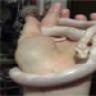 Keeper-Of-Cornsnakes