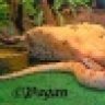 Pagan