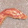 April_Snake