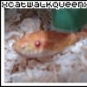 xCatwalkQueenx