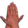 swishyfish2003