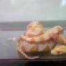 rain-makes-corn
