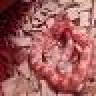 morbidx666xmind
