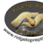 RidgeTop Reptiles