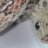 www.snake-fever.de