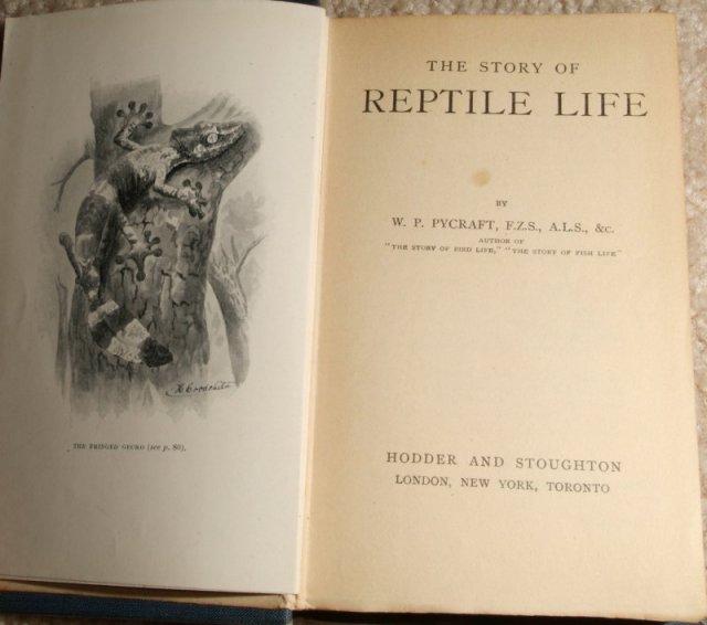 book_03a.jpg