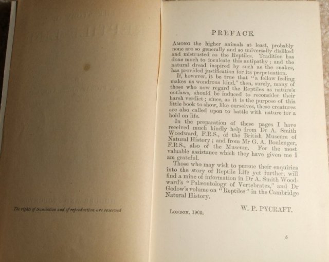 book_03b.jpg