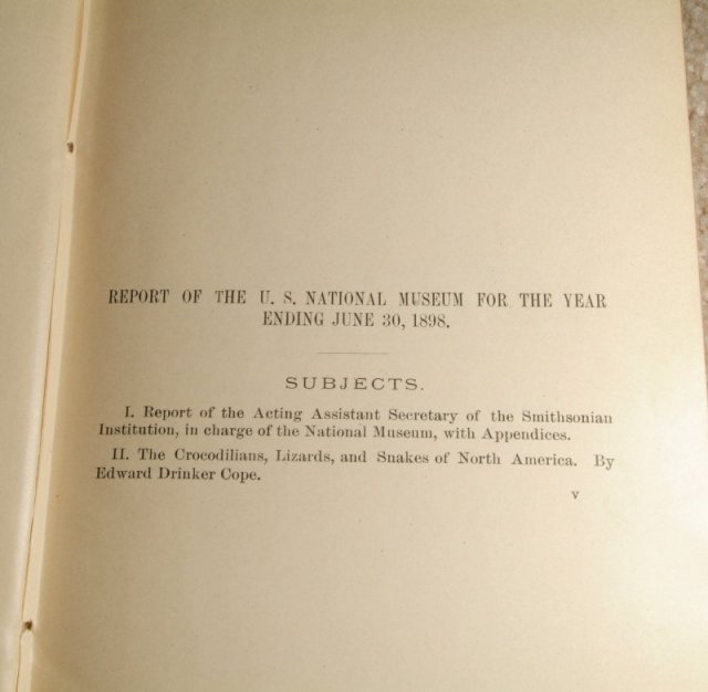 book_04.jpg